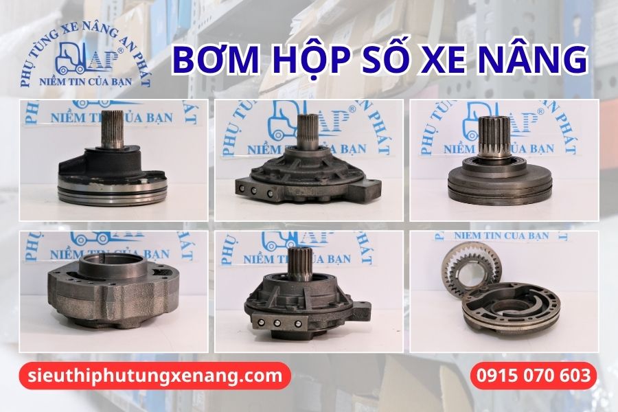 Các loại bơm hộp số xe nâng tại An Phát phân phối