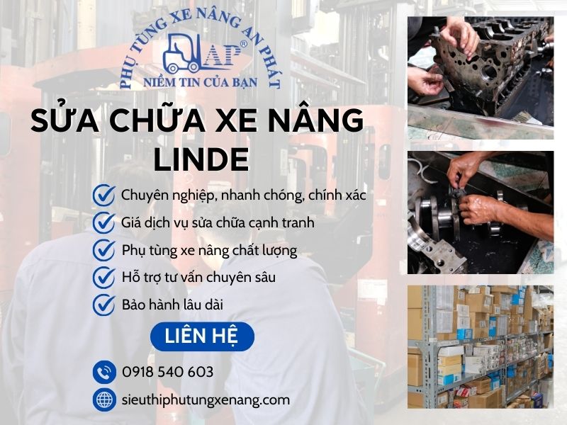Thông tin liên hệ khi cần sửa chữa xe nâng Linde